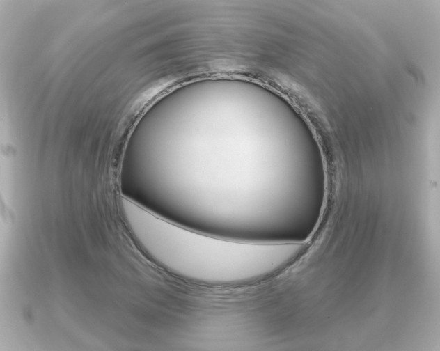 X0000091231169200708091108