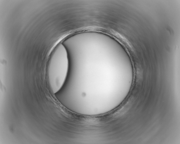 X0000091231170200708091108