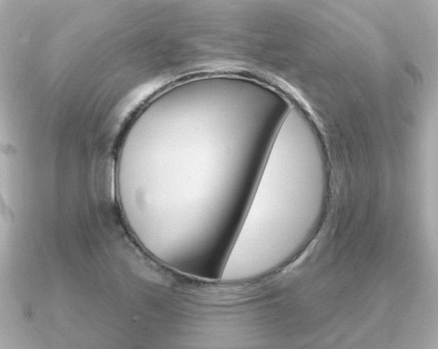 X0000091231171200708091108