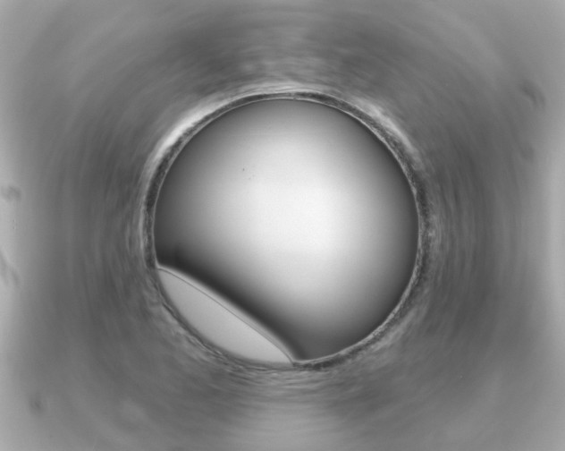X0000091231173200708091108