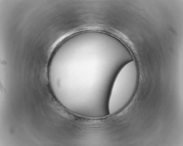 X0000091231174200708091108