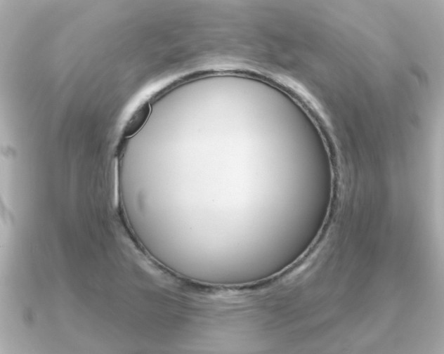 X0000091231175200708091108