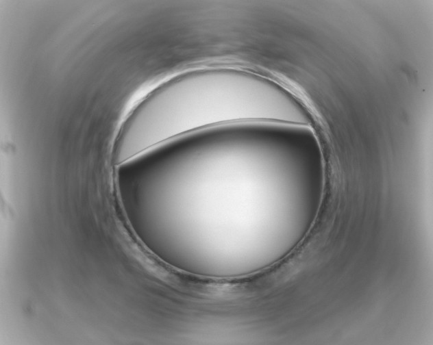 X0000091231176200708091108