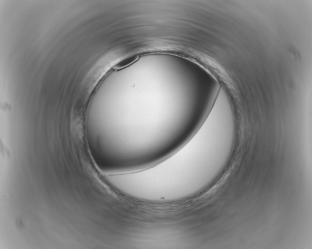 X0000091231177200708091108