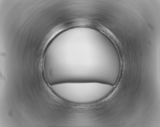 X0000091231178200708091108