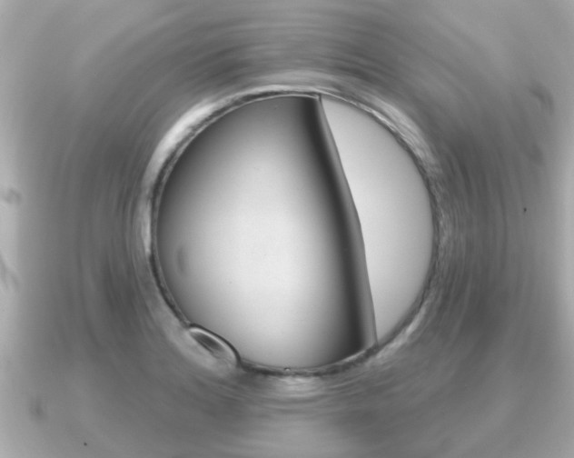 X0000091231180200708091108