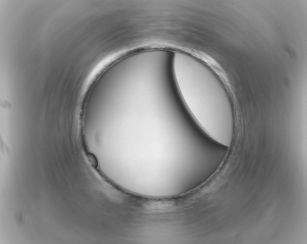X0000091231183200708091108