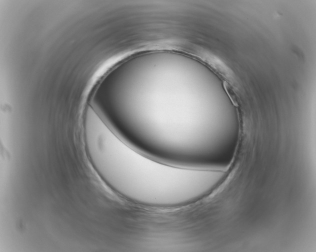 X0000091231184200708091108