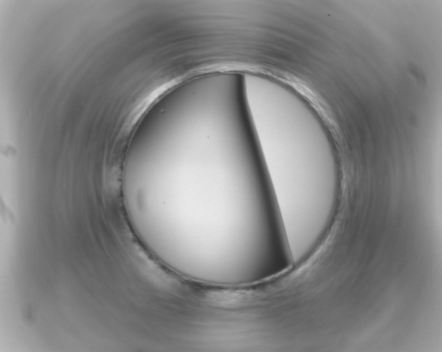 X0000091231185200708091108