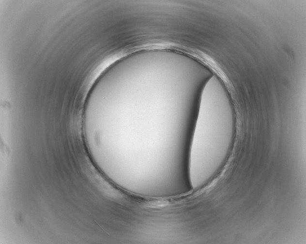 X0000091231186200708091108