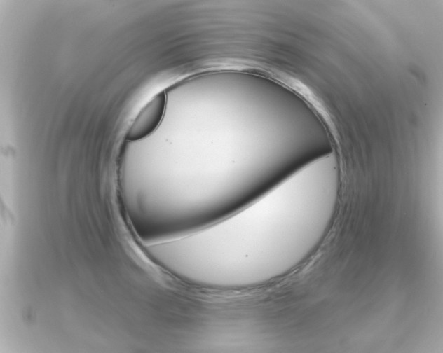 X0000091231187200708091108
