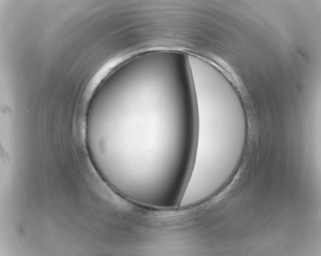 X0000091231188200708091108