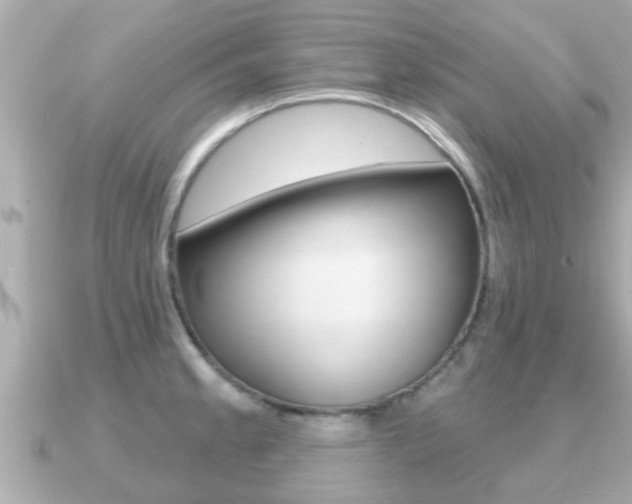 X0000091231189200708091108