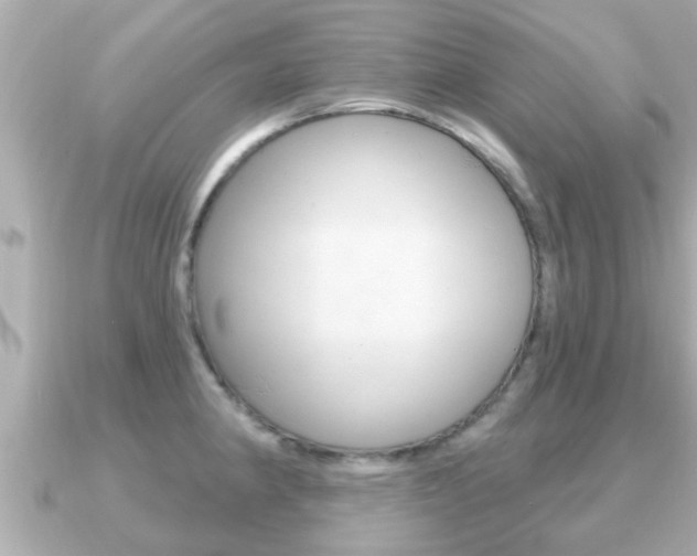 X0000091231190200708091108