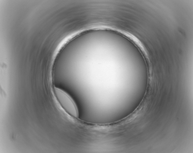 X0000091231191200708091108