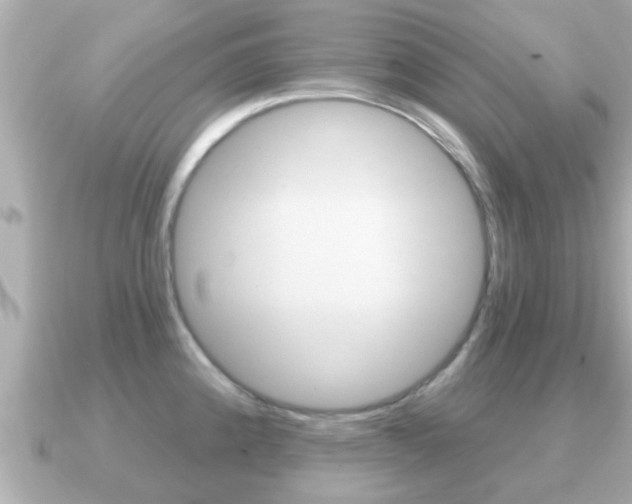 X0000091231192200708091108