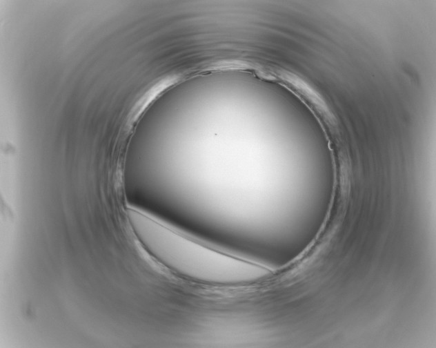 X0000091231193200708091108