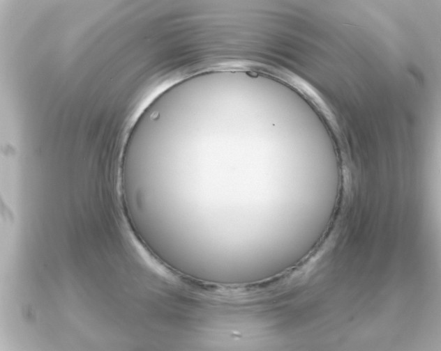 X0000091231194200708091108