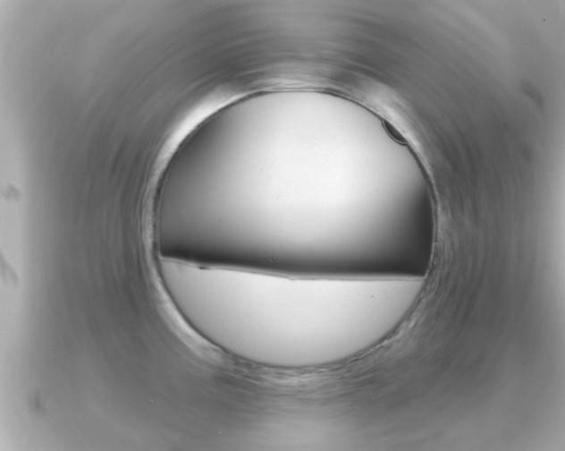 X0000091231195200708091108