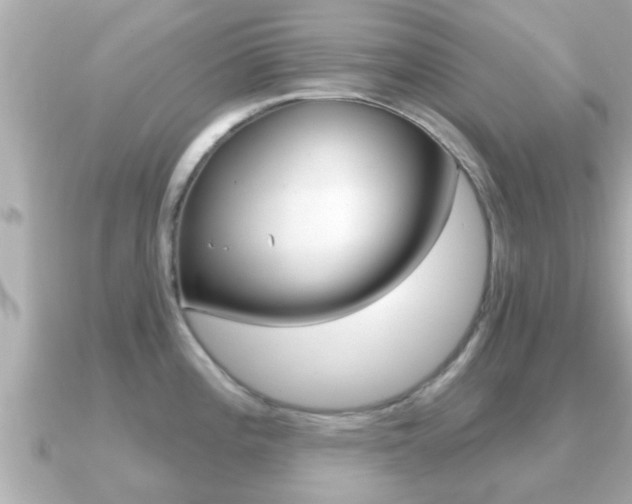 X0000091231196200708091108