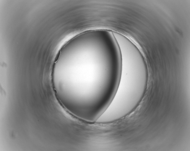 X0000091231197200708091108