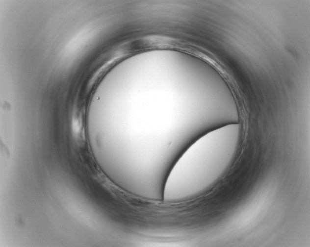 X0000091231198200708091108