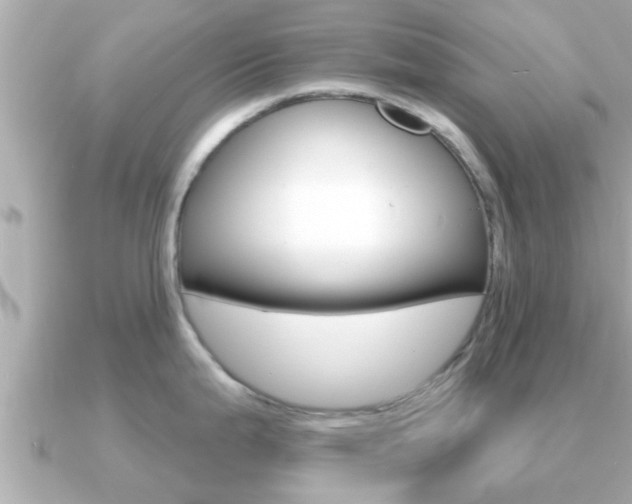 X0000091231199200708091108