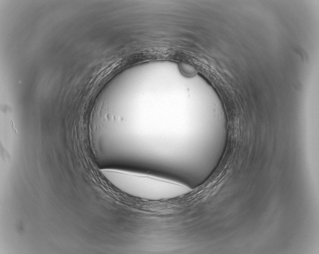 X0000091231201200708091107