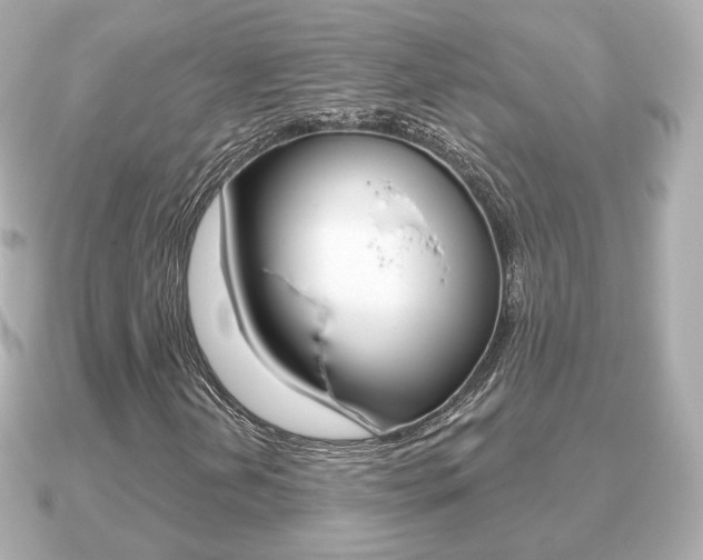 X0000091231202200708091107
