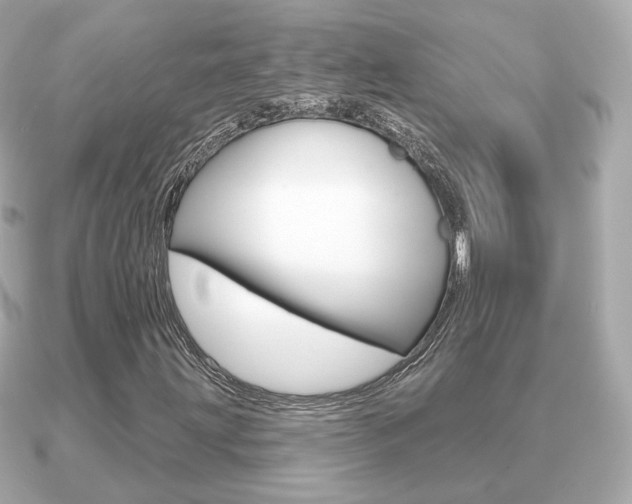 X0000091231203200708091107