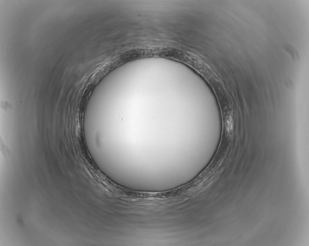X0000091231204200708091107