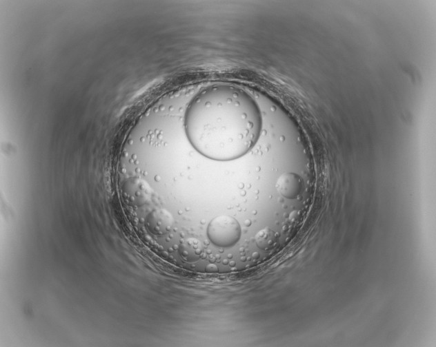 X0000091231205200708091107