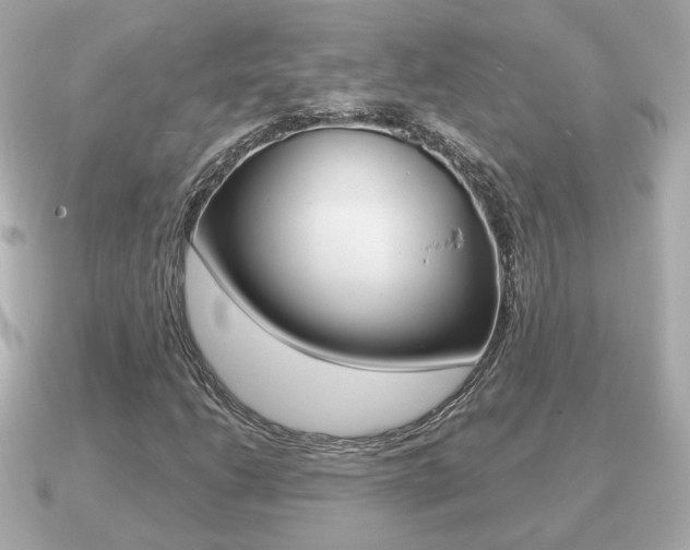 X0000091231206200708091107