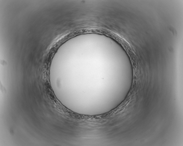 X0000091231207200708091107