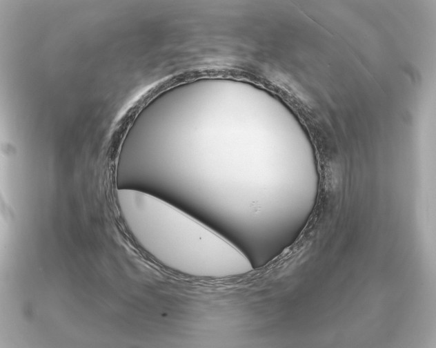 X0000091231208200708091107