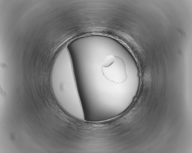 X0000091231209200708091107