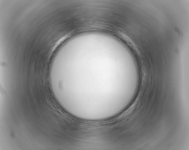 X0000091231210200708091107