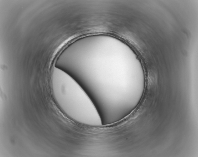 X0000091231212200708091107