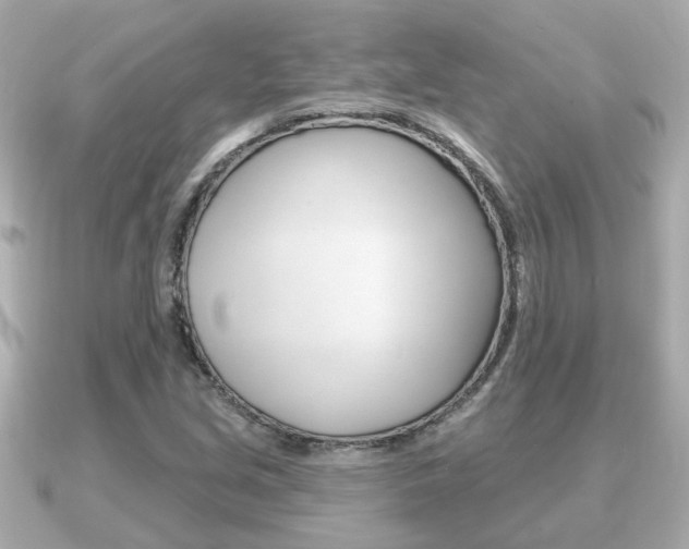 X0000091231213200708091107