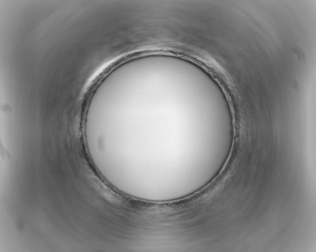 X0000091231216200708091107