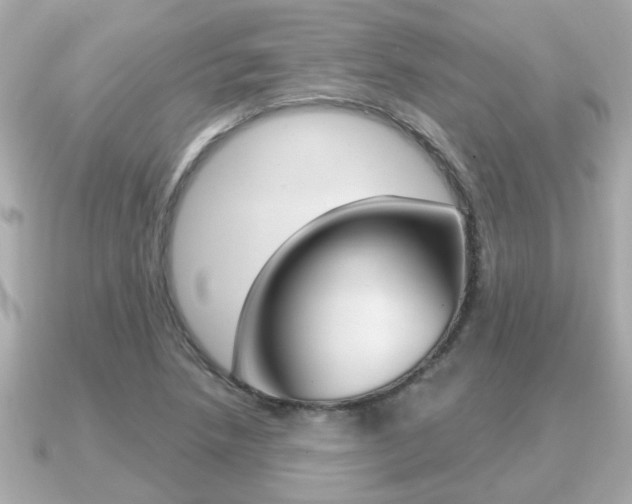 X0000091231218200708091107