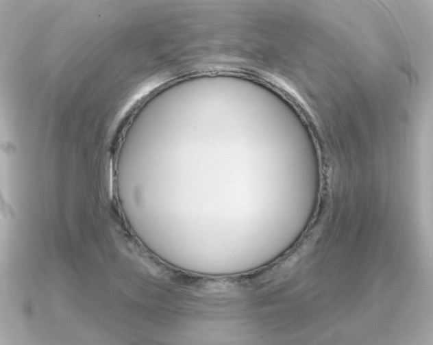 X0000091231219200708091107