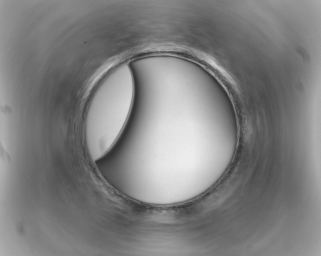 X0000091231221200708091107