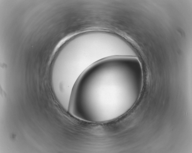 X0000091231222200708091107
