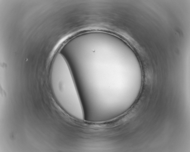 X0000091231224200708091107