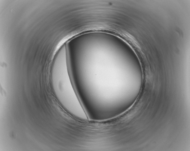 X0000091231226200708091107