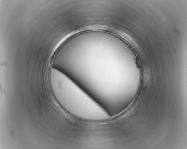X0000091231228200708091107