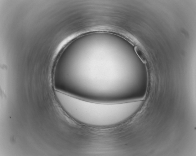 X0000091231230200708091107