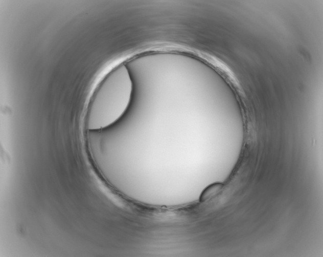 X0000091231231200708091107