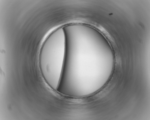 X0000091231232200708091107